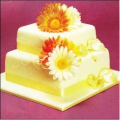 FOR DECORATION OF CAKES